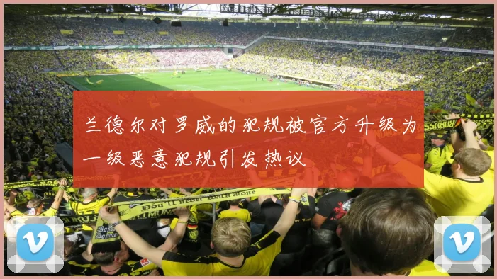 兰德尔对罗威的犯规被官方升级为一级恶意犯规引发热议