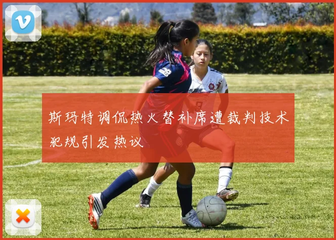斯玛特调侃热火替补席遭裁判技术犯规引发热议